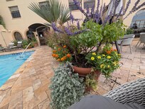 The gardens are so beautiful there. Every time we've been here for in years each time the gardens are more spectacular than B4.