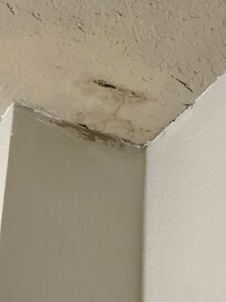 What appears to be a water leak and or mold on the ceiling?
