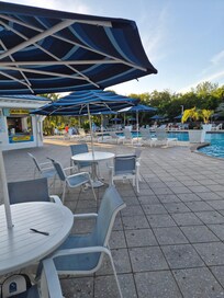 Fabulous pool