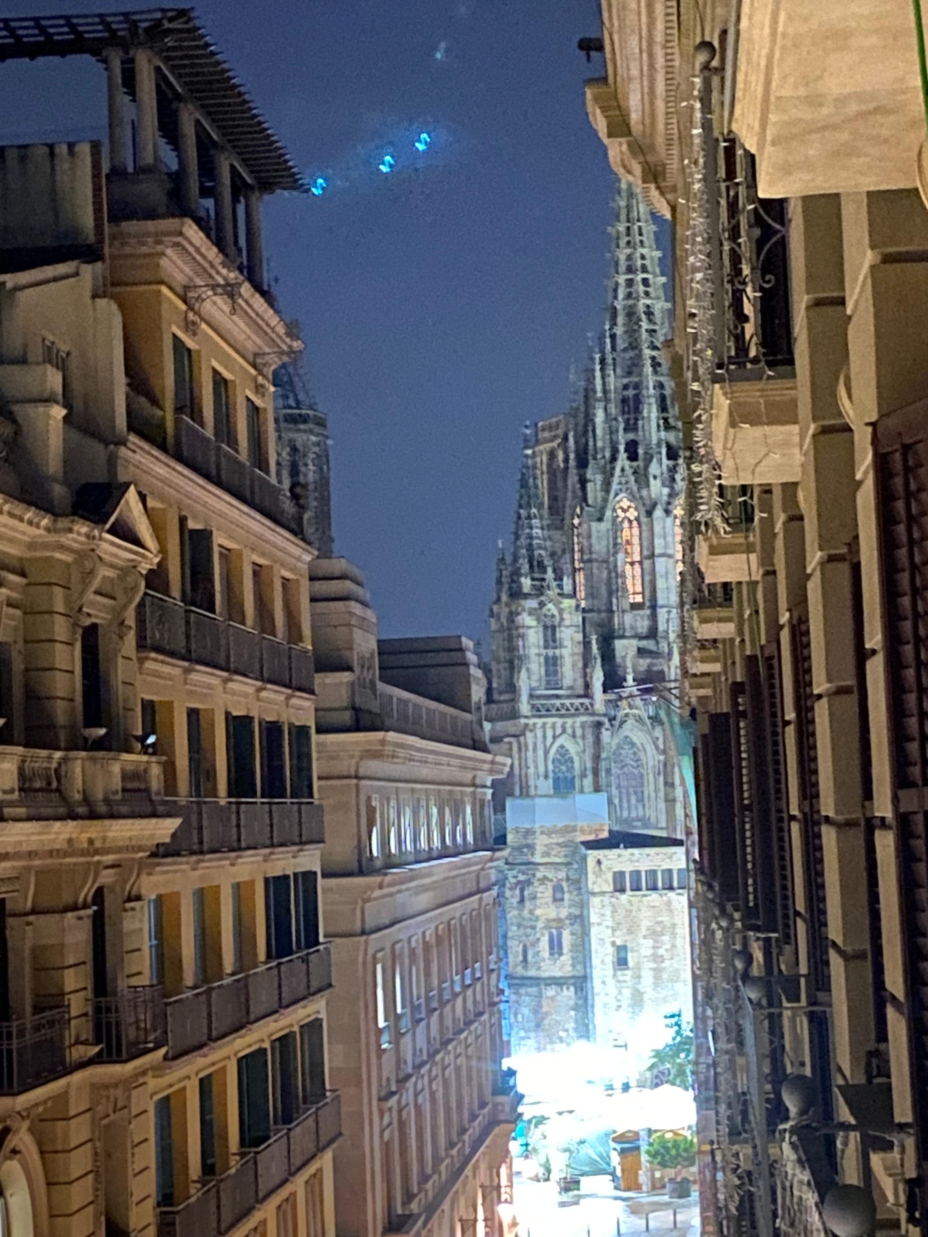 A shot of the Barcelona Cathedral and the Christmas market taken from the balcony of our hotel room.