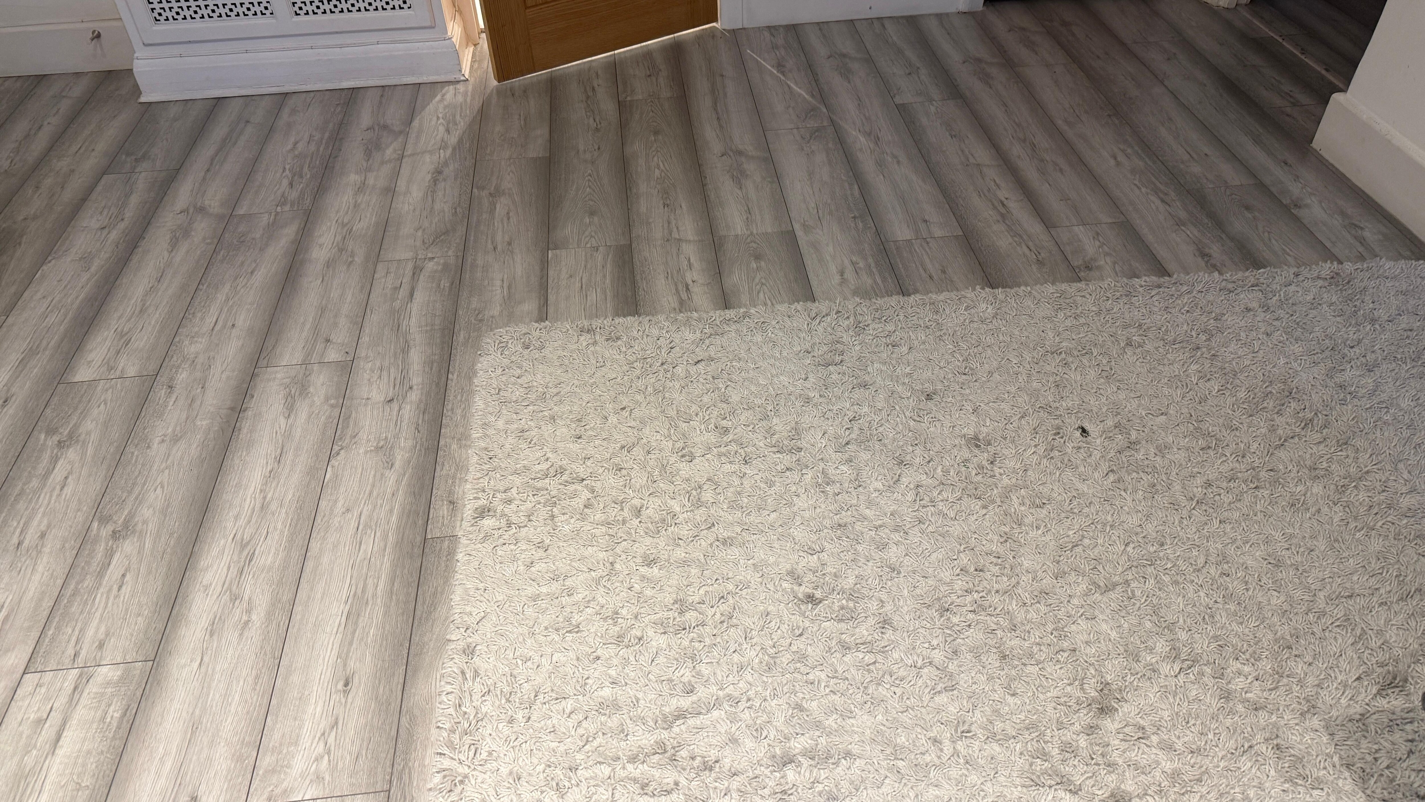 Rug was dirty probably doesn’t show here 