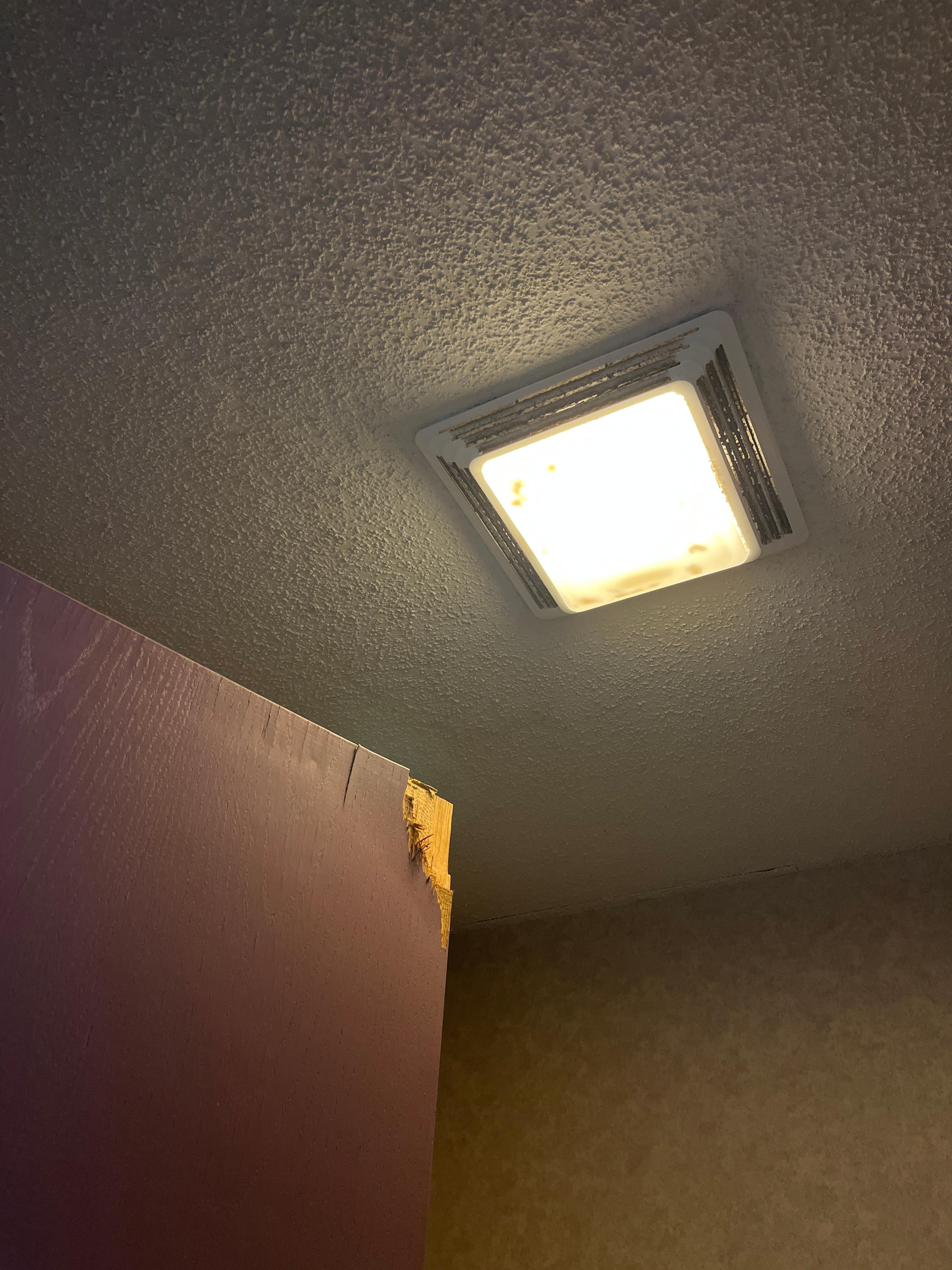 Noisy ceiling fan with bugs inside. Damaged bathroom door.