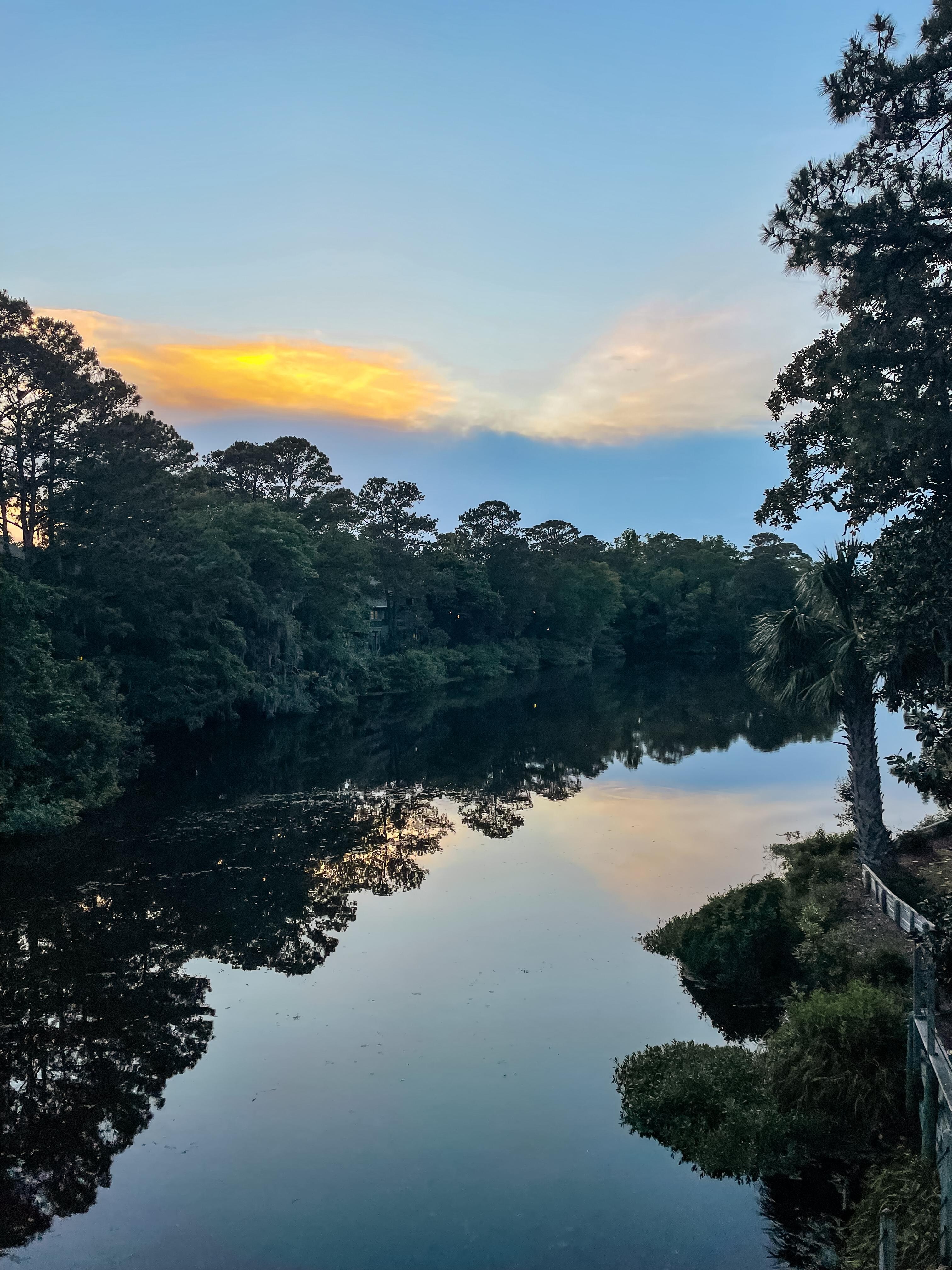 View from the deck. 