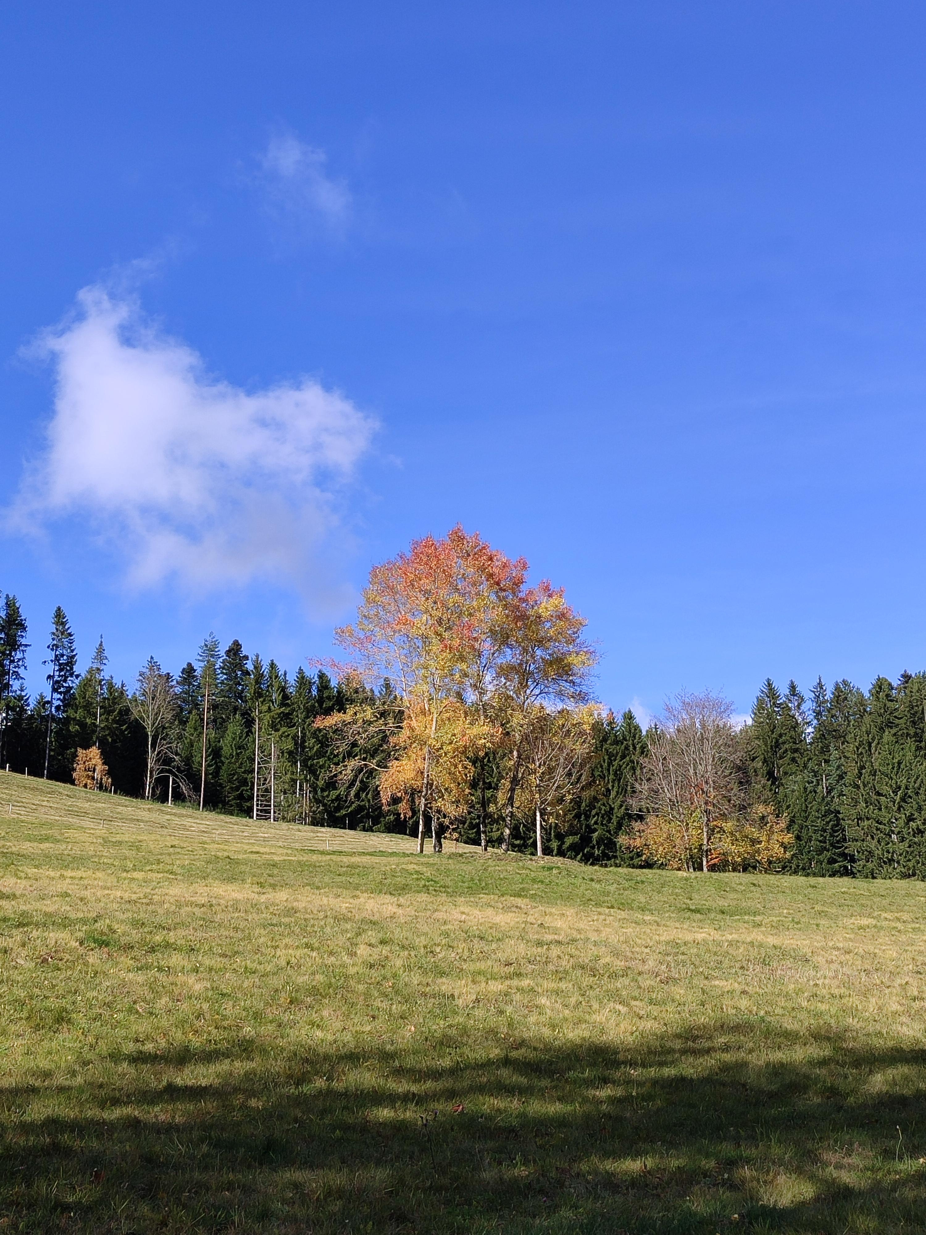 La luminosité nous a fait un bien fou 