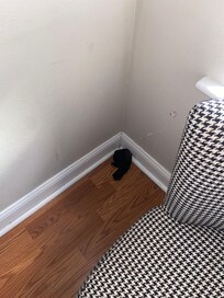 Someone’s sock left behind