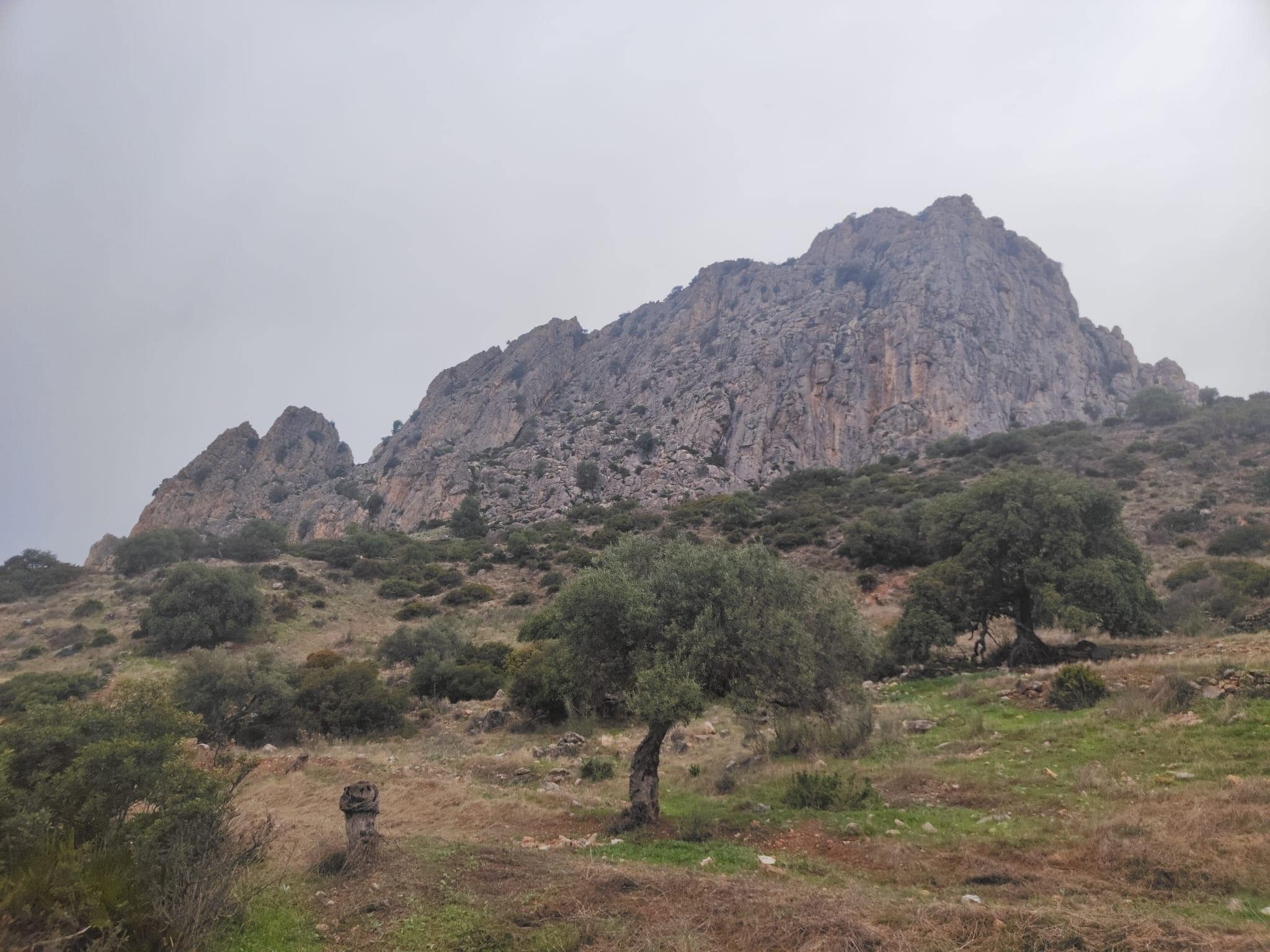 View from the front porch