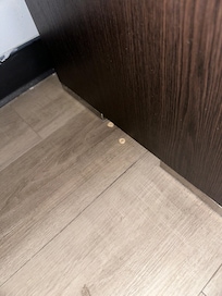 Food crumbs under the bed