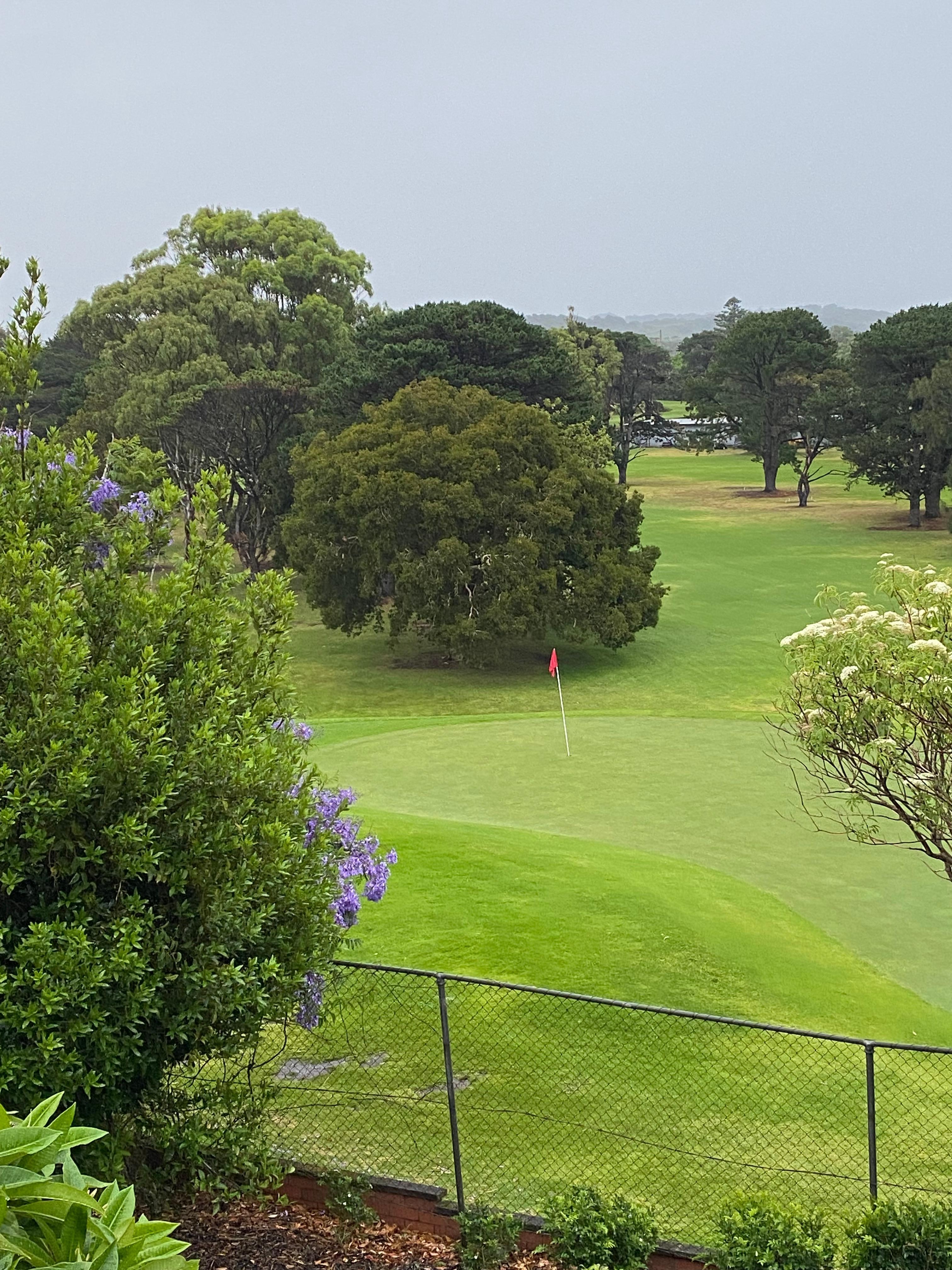 Lovely views from living room/kitchen 