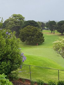 Lovely views from living room/kitchen