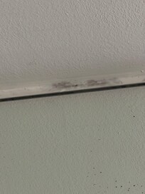 Another area of mold