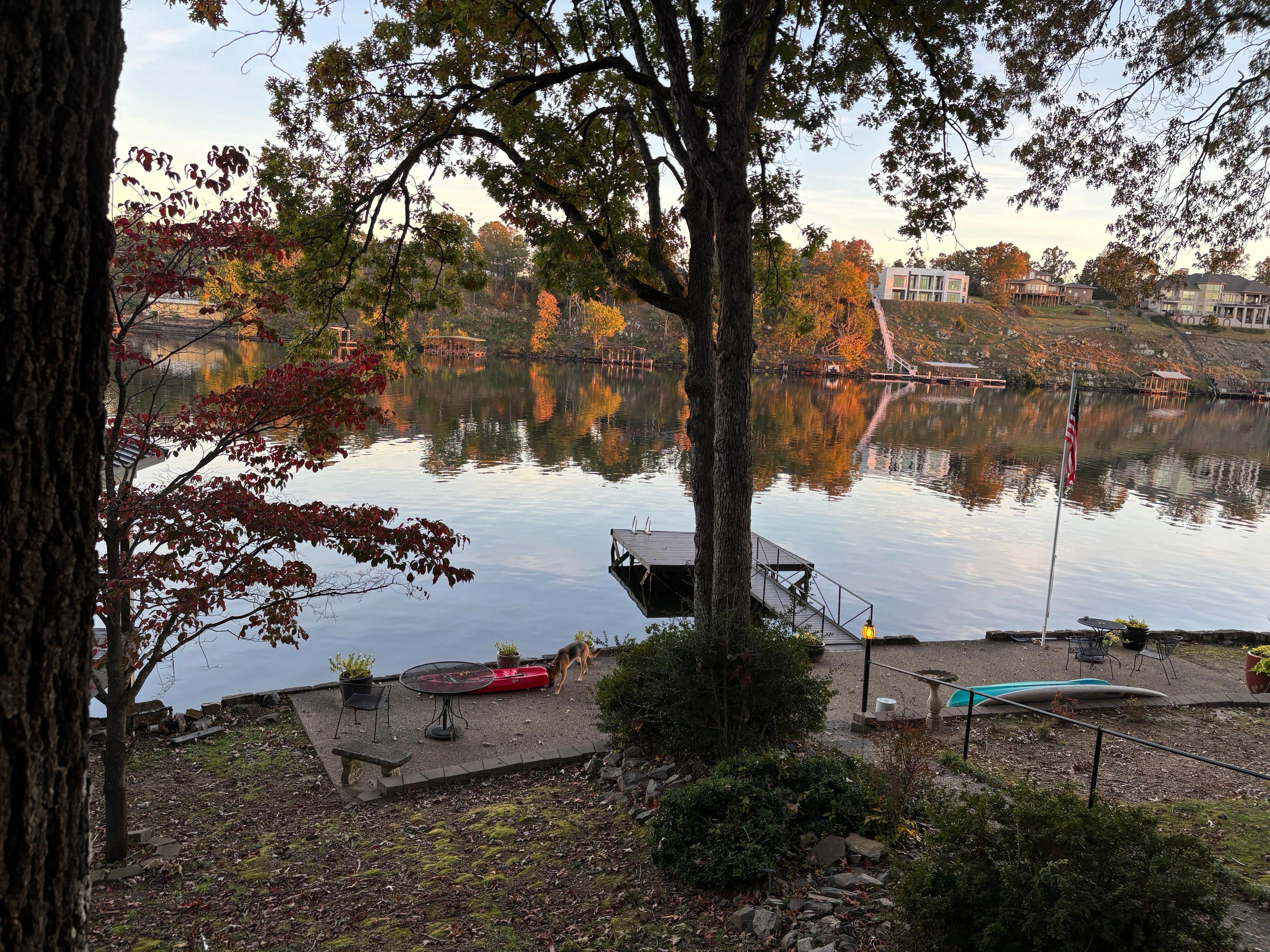 My dog enjoying her freedom of the property and eventually the water. 