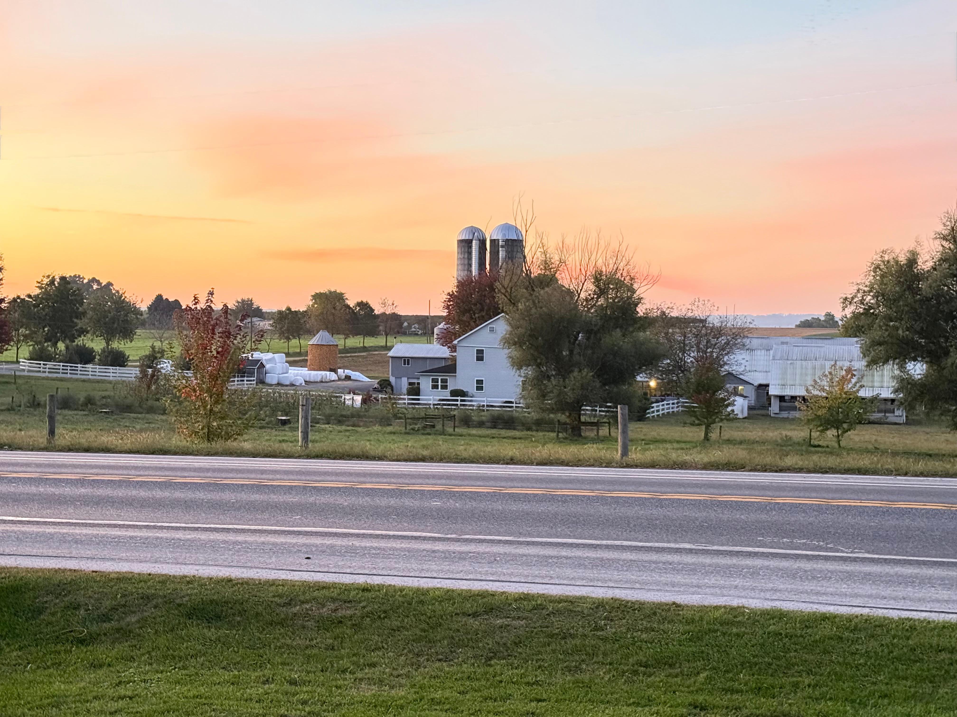 Picture taken from front door across the road from the house. 