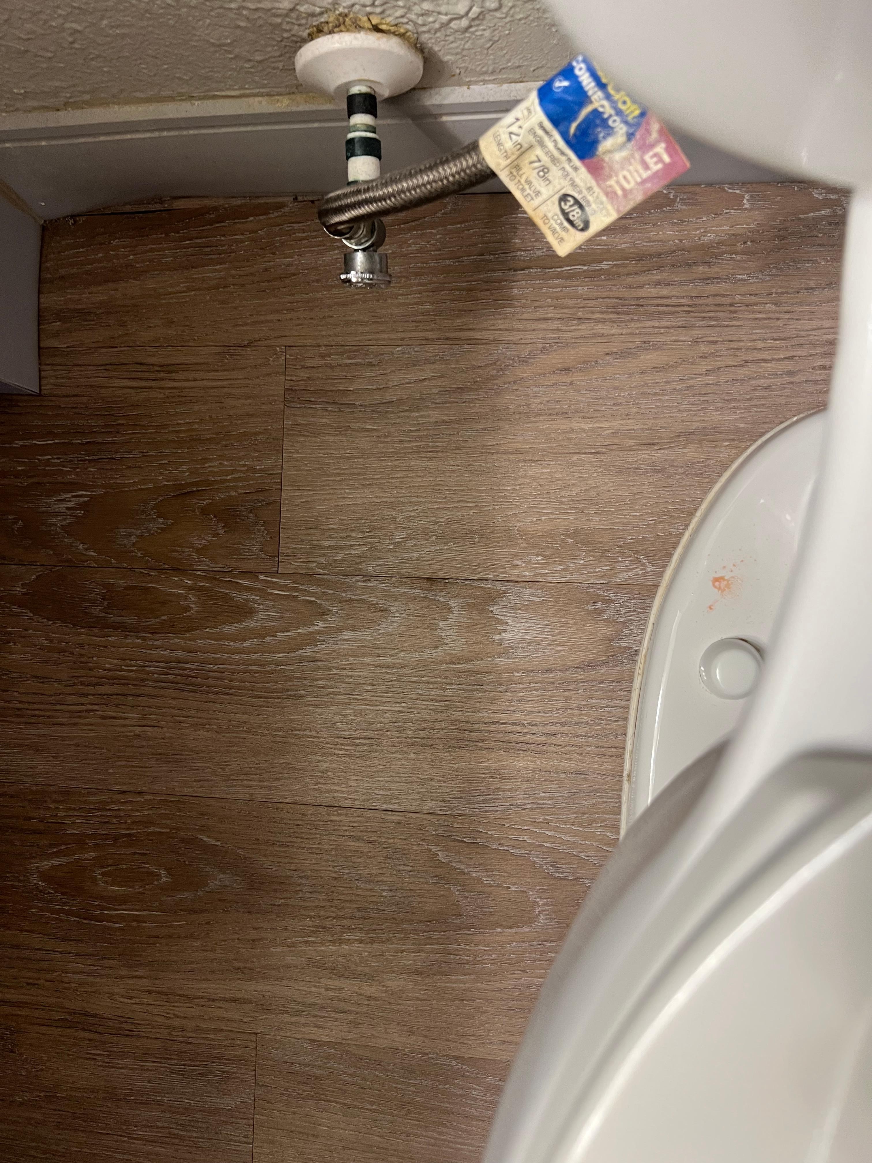 Red stain next to toilet 