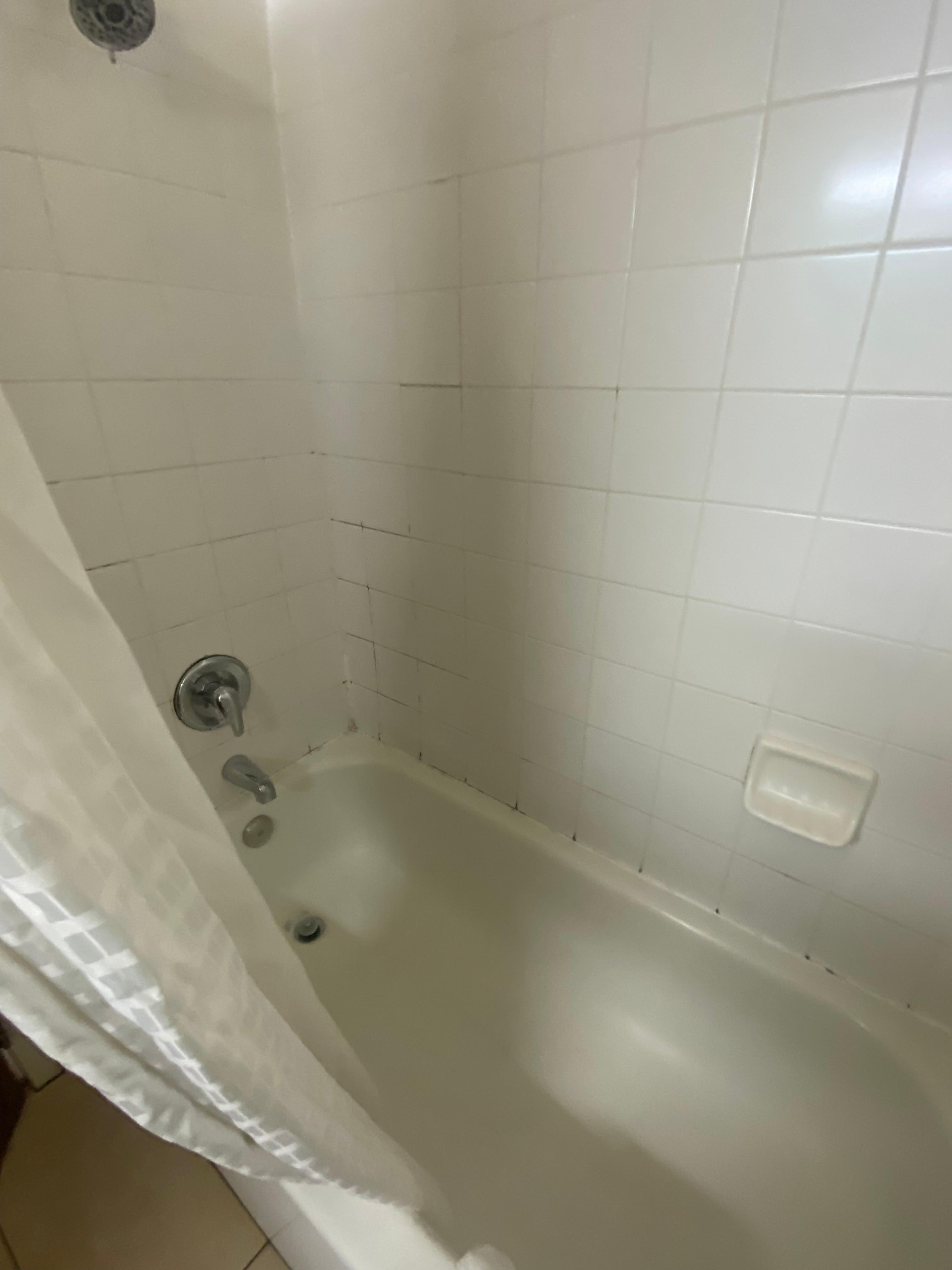 Bath tub that clearly needs a deep clean