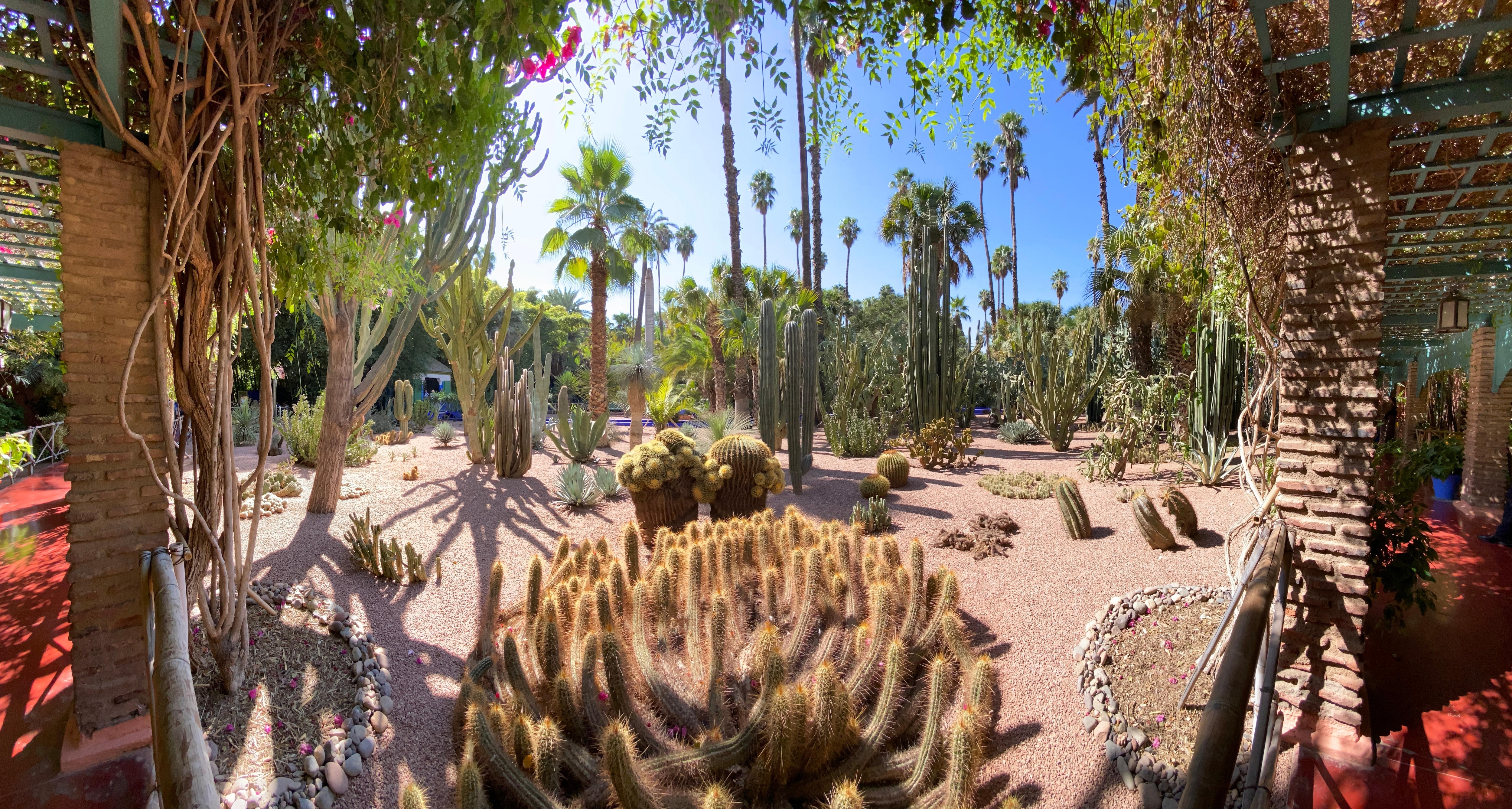 À proximité 
Le jardin Majorelle