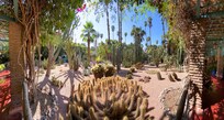 À proximité
Le jardin Majorelle