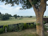 View from the back yard with the sheep.