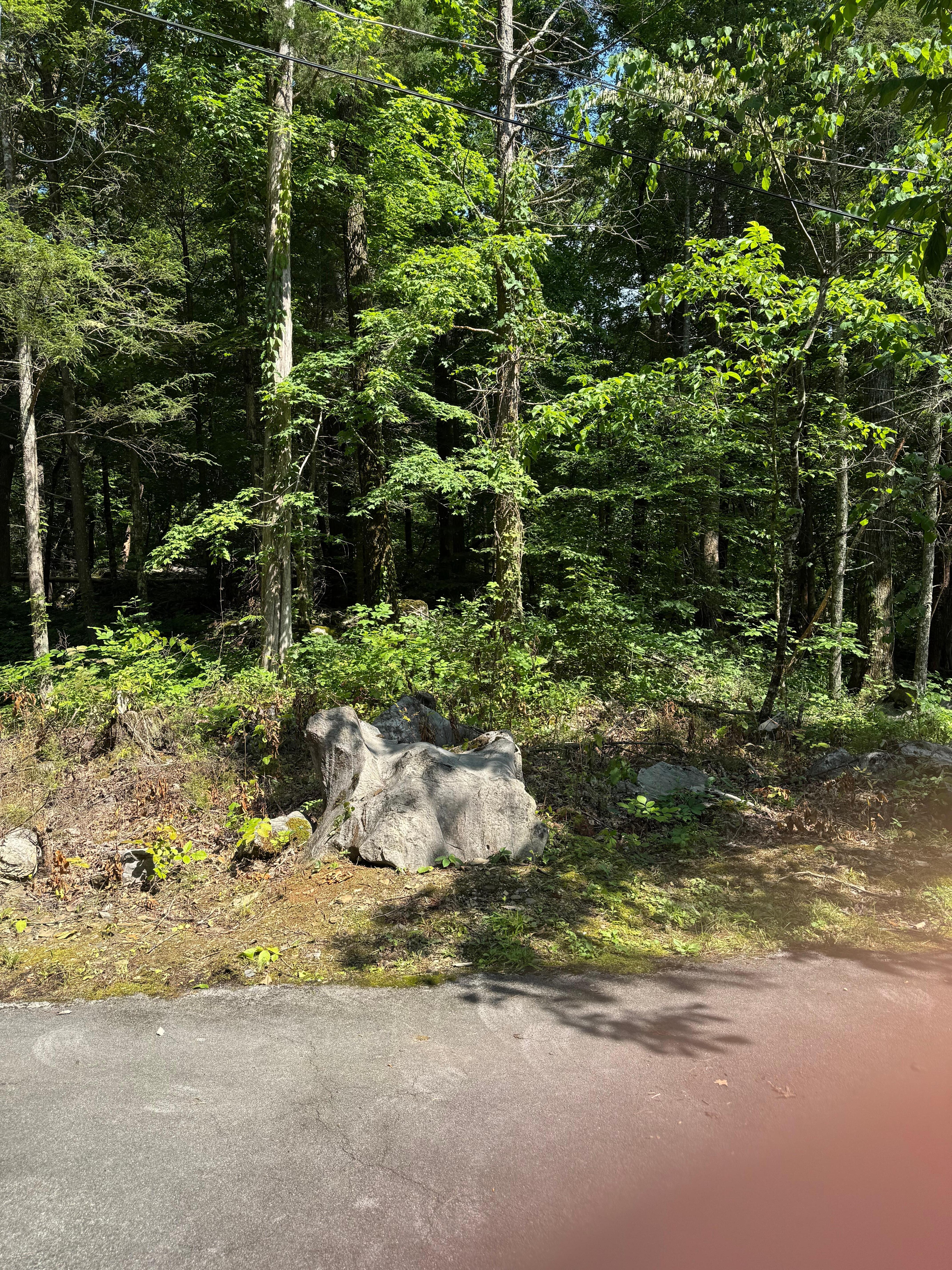 Outdoors in front of the cabin