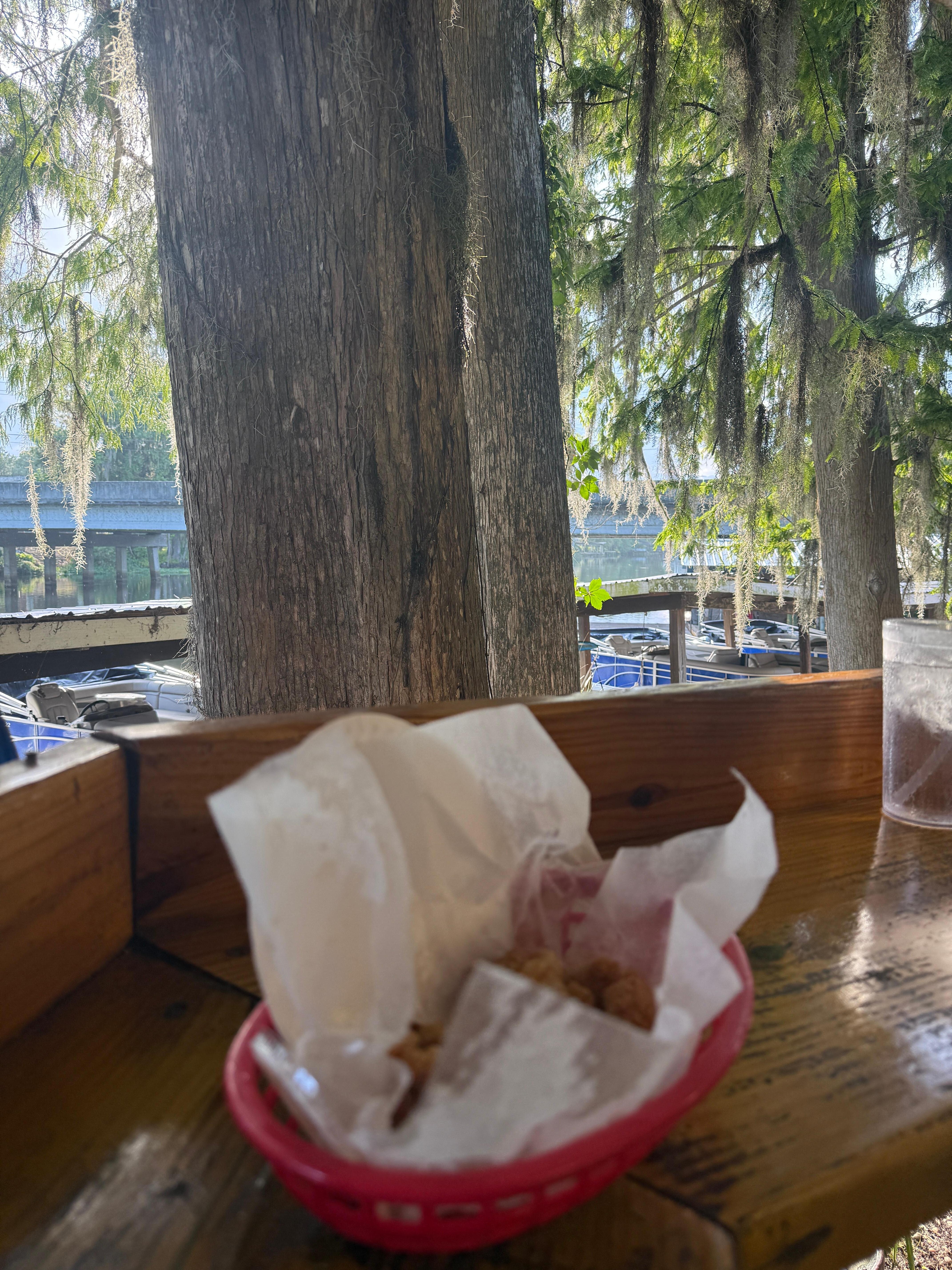 Gator bites with spicy ranch overlooking the river