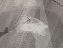 Bathroom floor