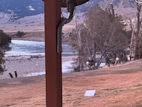 Woke up the deer each morning.