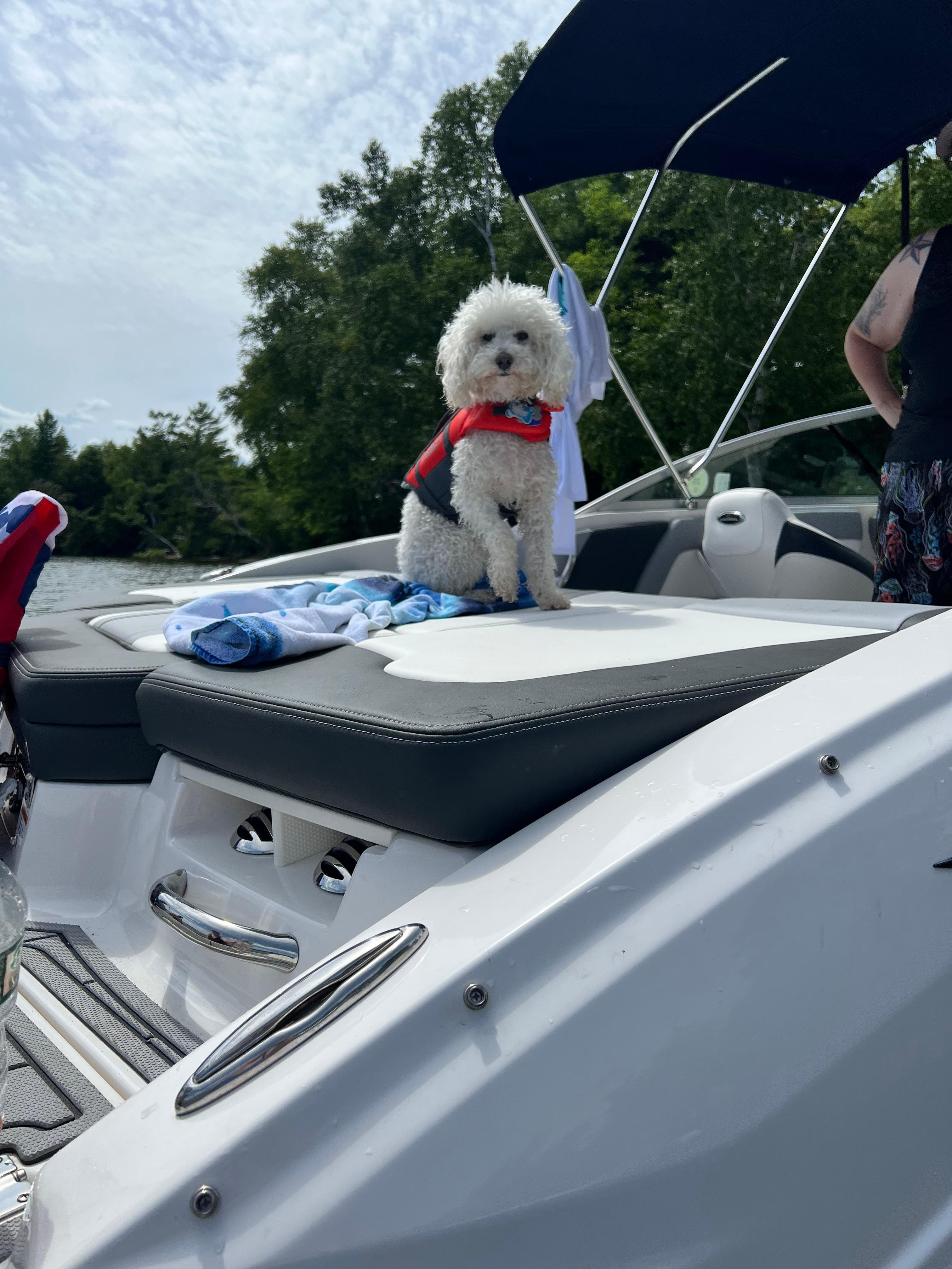 Even our dog enjoyed our vacation!