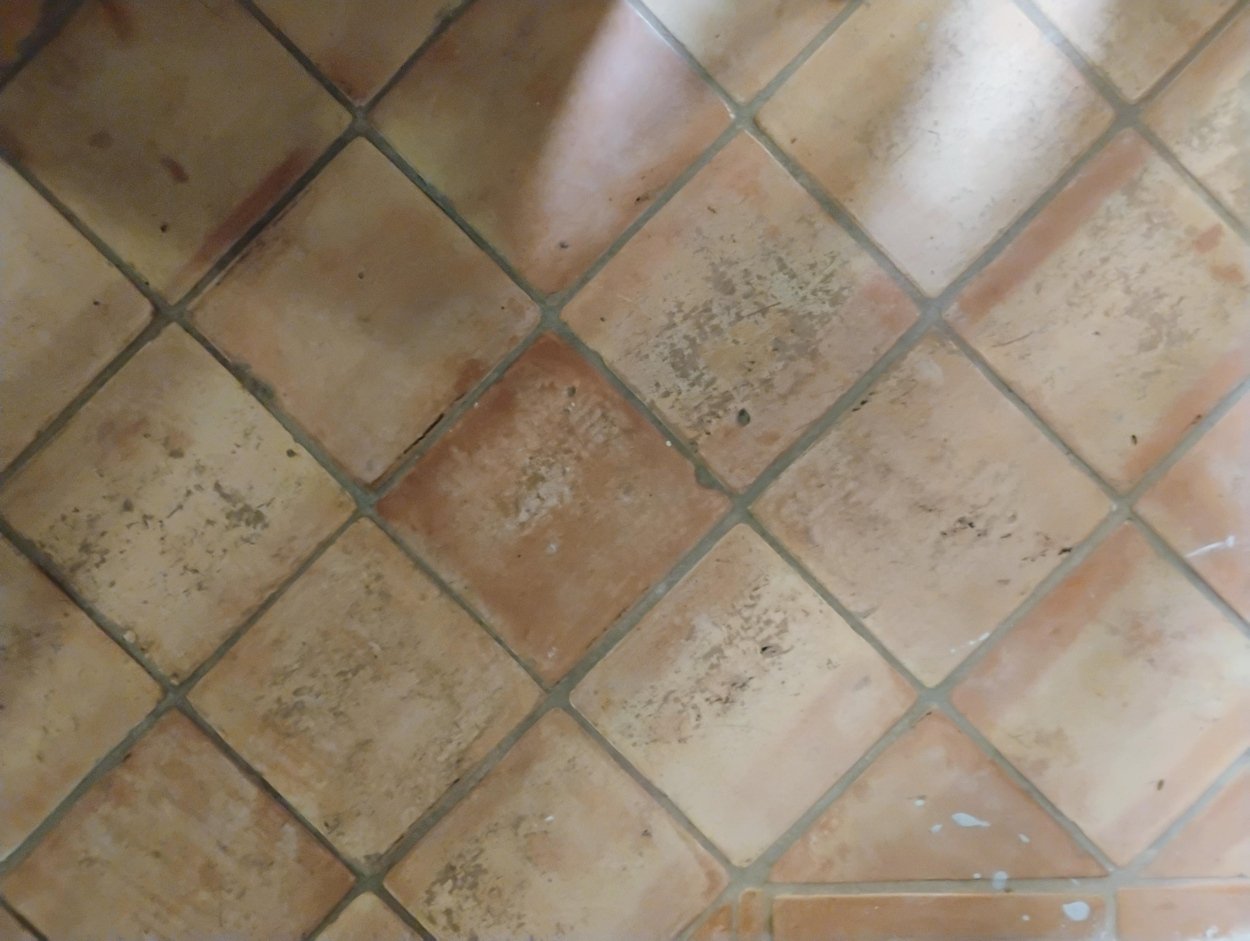 Road tar in hallway next to bathroom