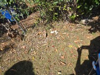 cement debris in yard