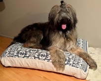 Meadow liked it too!