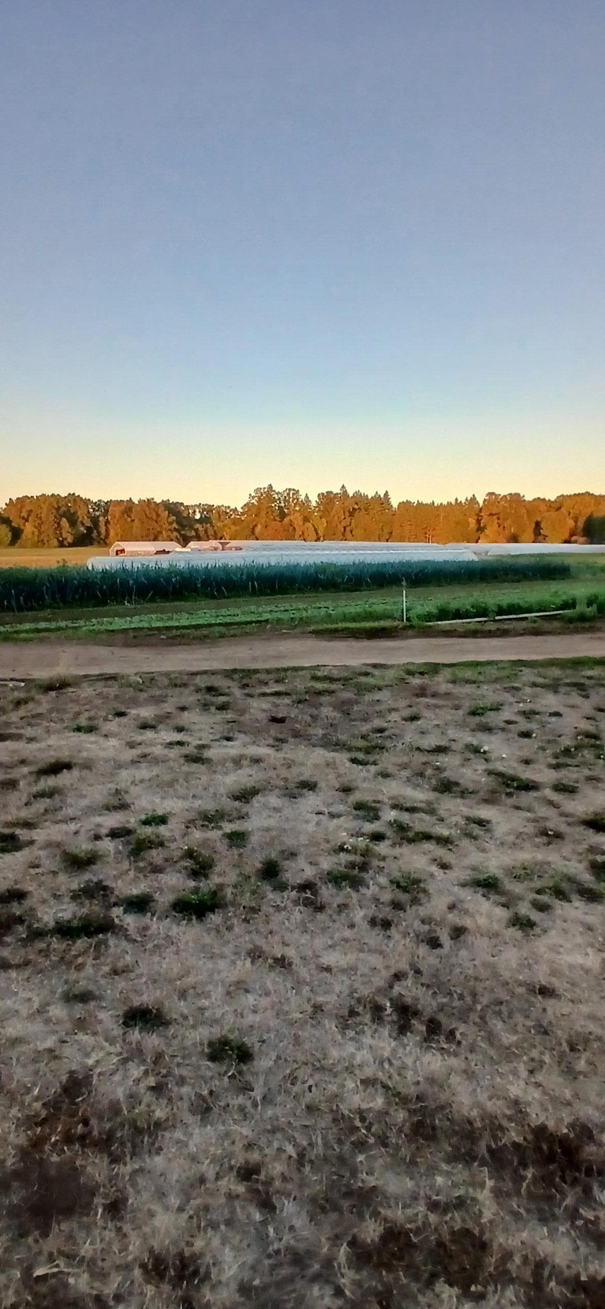Surrounded by farming. The field workers let us pick tomatoes, squash and apples for the kids