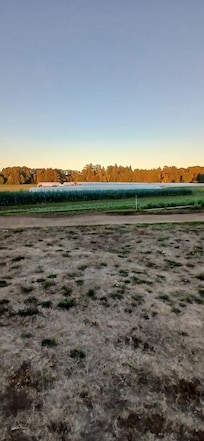 Surrounded by farming. The field workers let us pick tomatoes, squash and apples for the kids