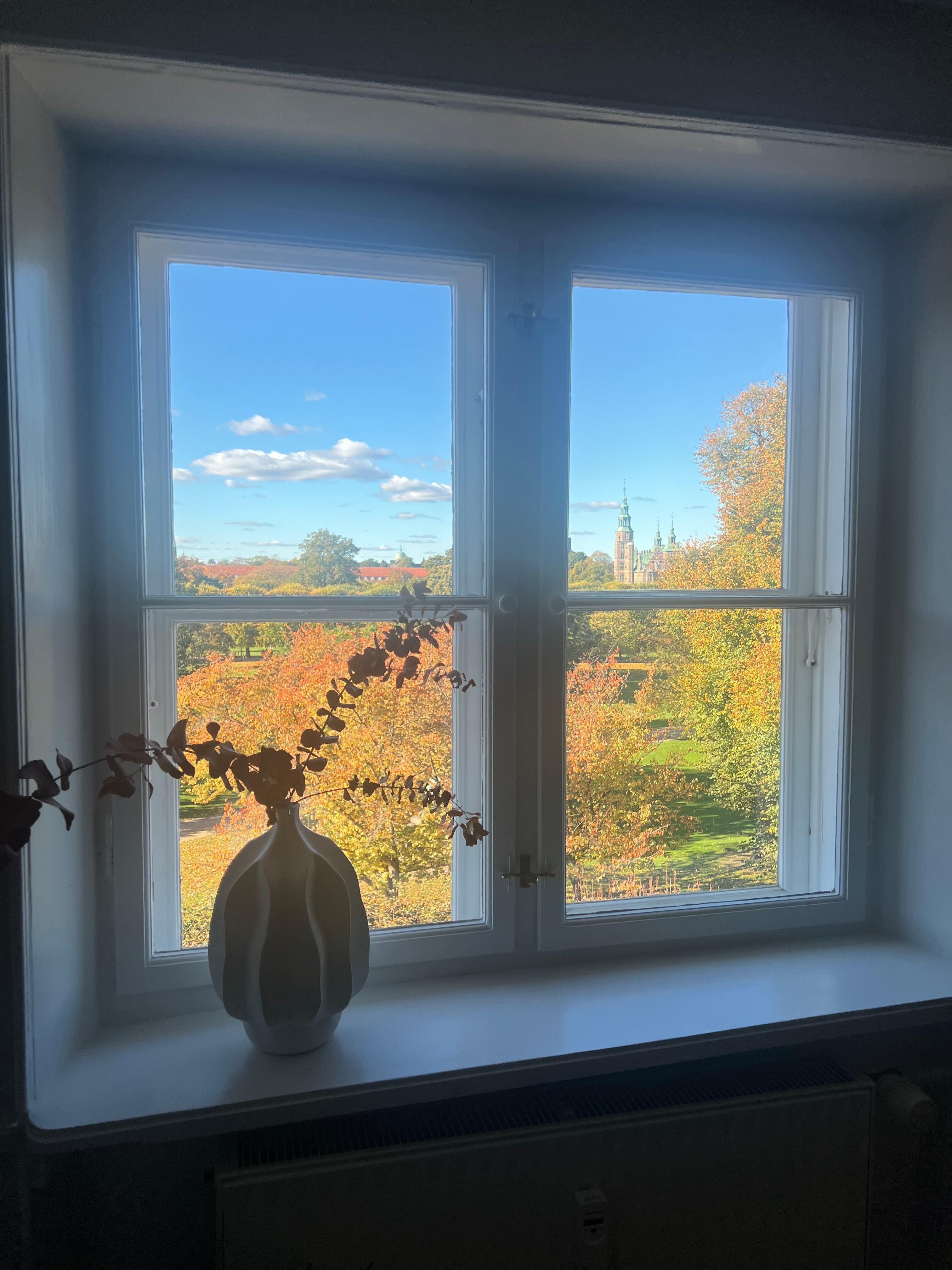 Blick aus der Wohnung auf den herbstlichen Park