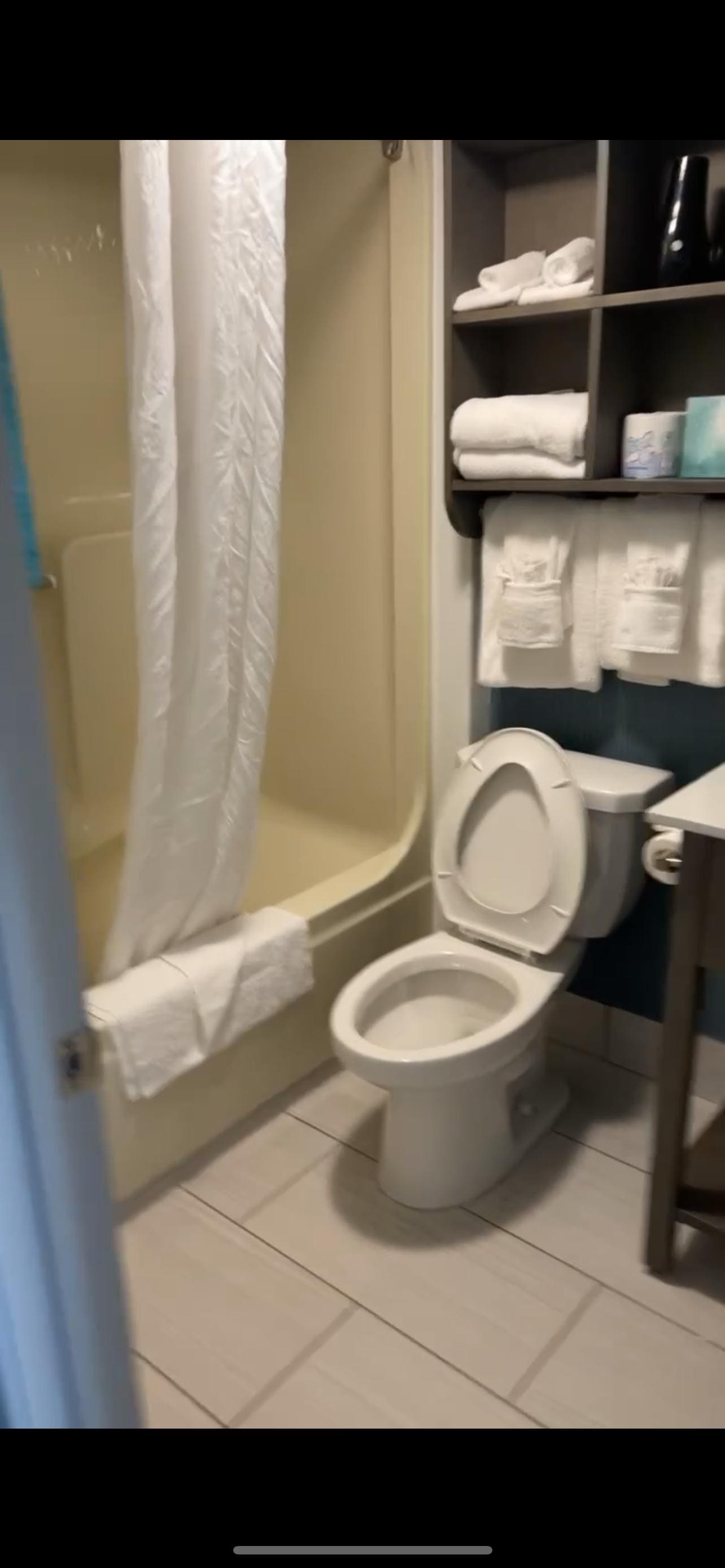 Tub/shower. All these towels and housekeeping came everyday