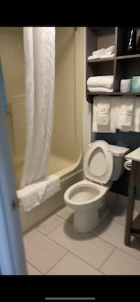 Tub/shower. All these towels and housekeeping came everyday