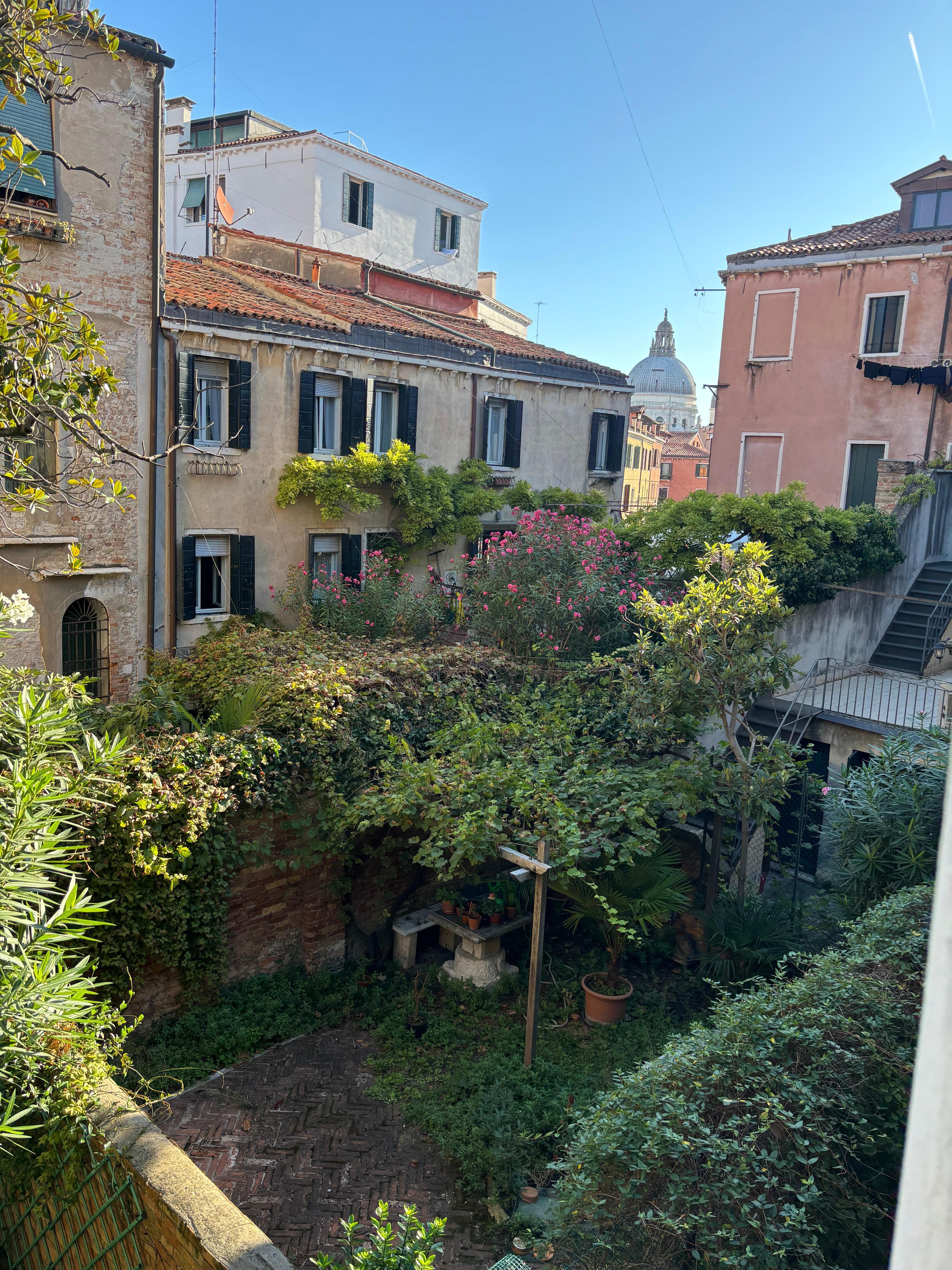 The view from the dining room window!