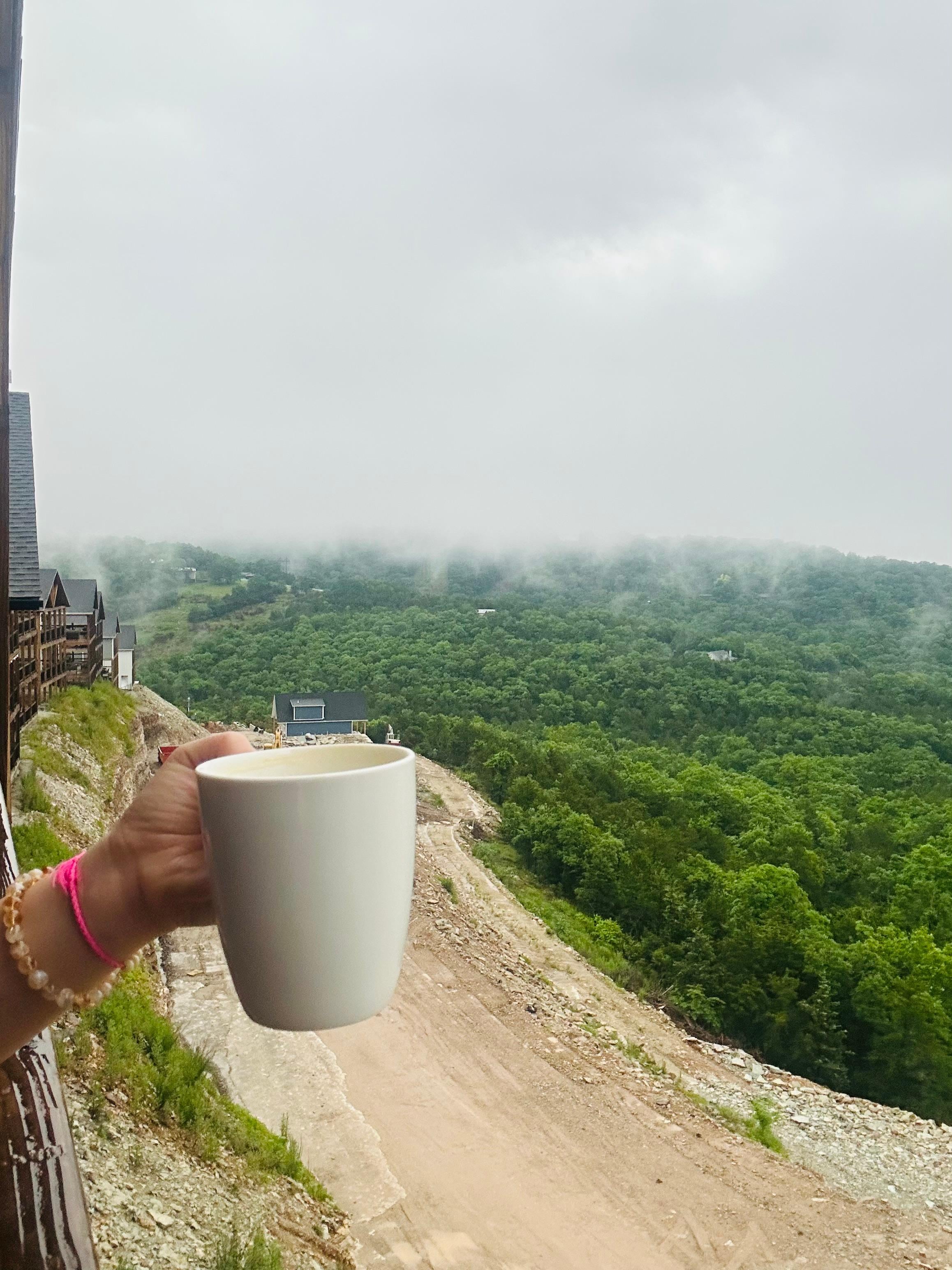 Morning view 