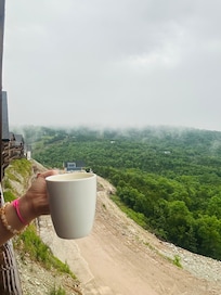 Morning view