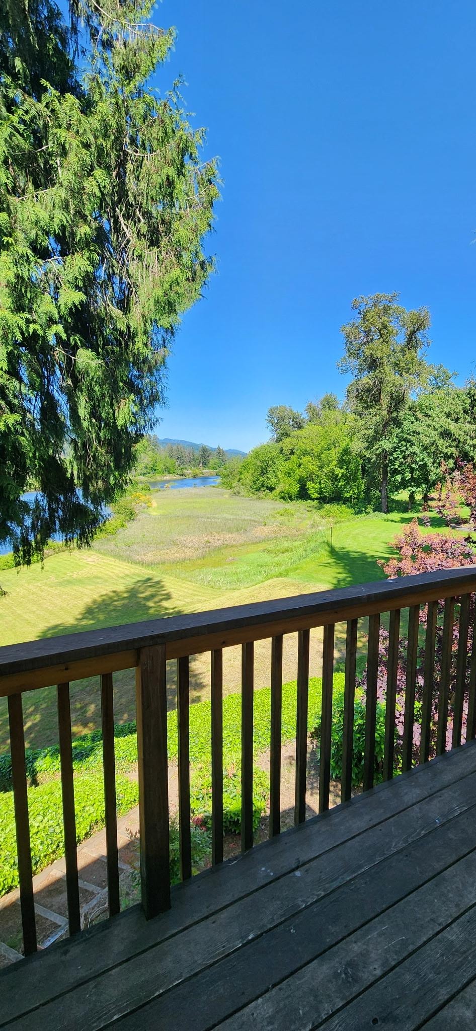 View from the balcony of guest suite (where you'll stay)