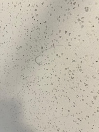 Hairs on the shower wall