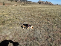 I come here to do some high plains drifting with my dog, and my film cameras. I accidentally found this great recreation area, minutes from Laramie.