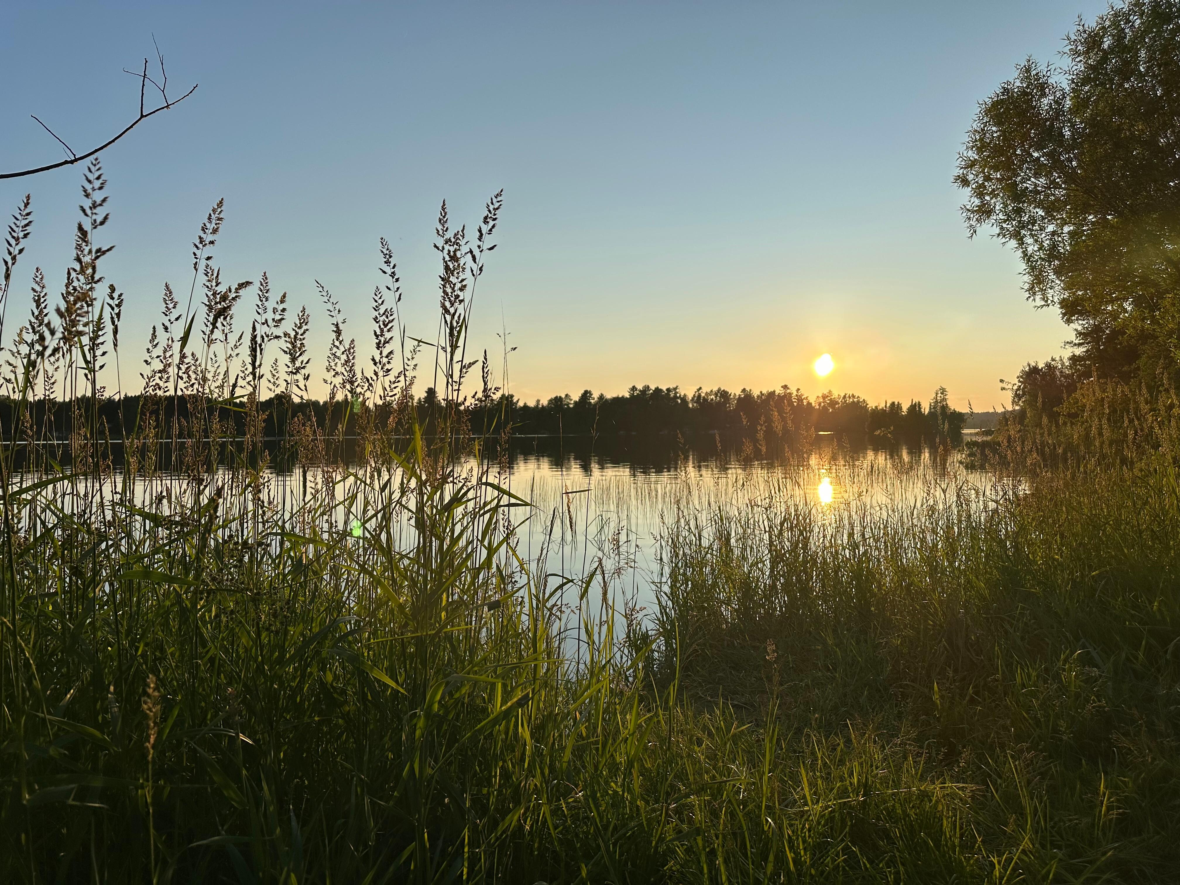 View from Shagawa park nearby.  