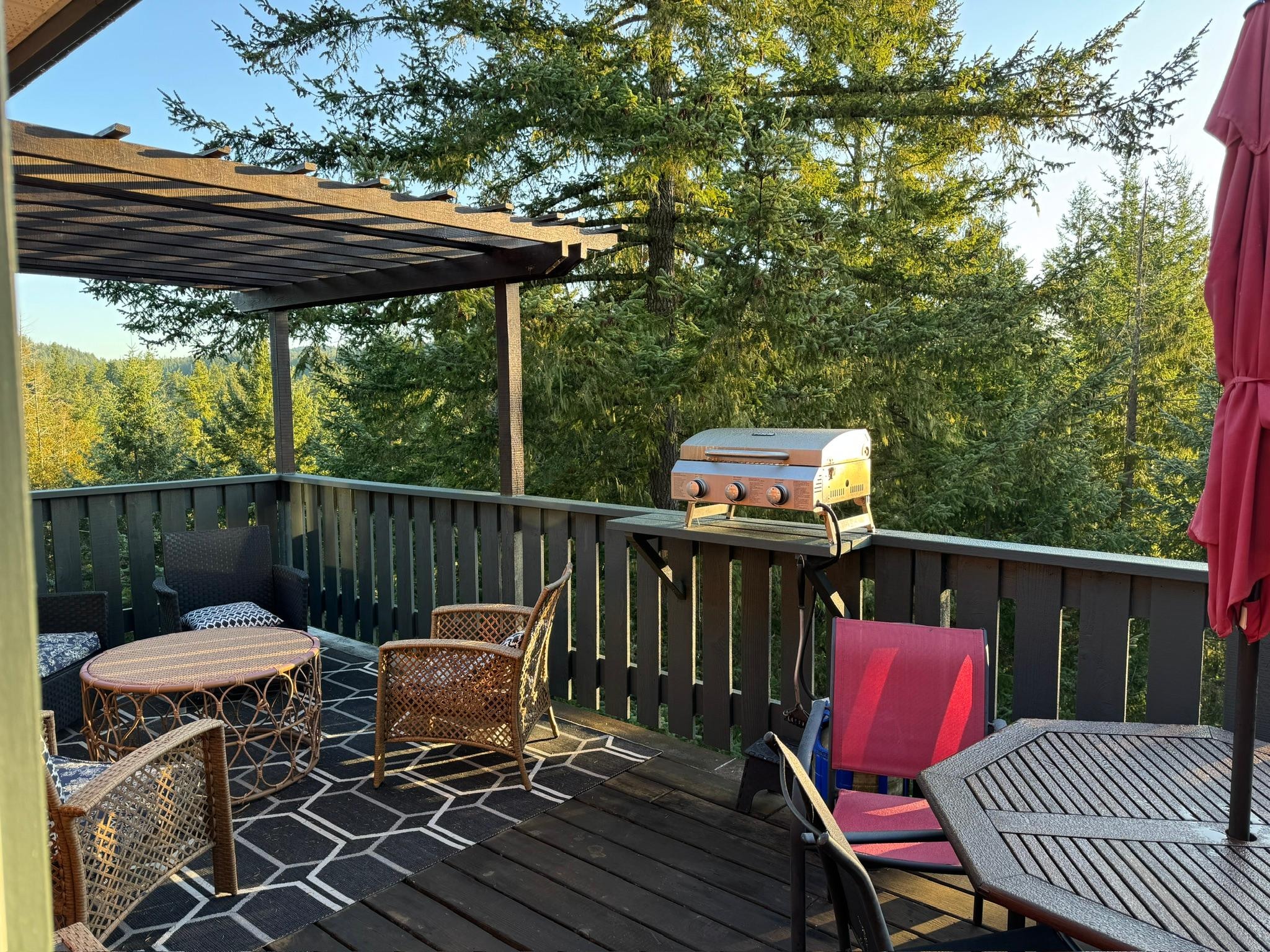 The deck with barbeque