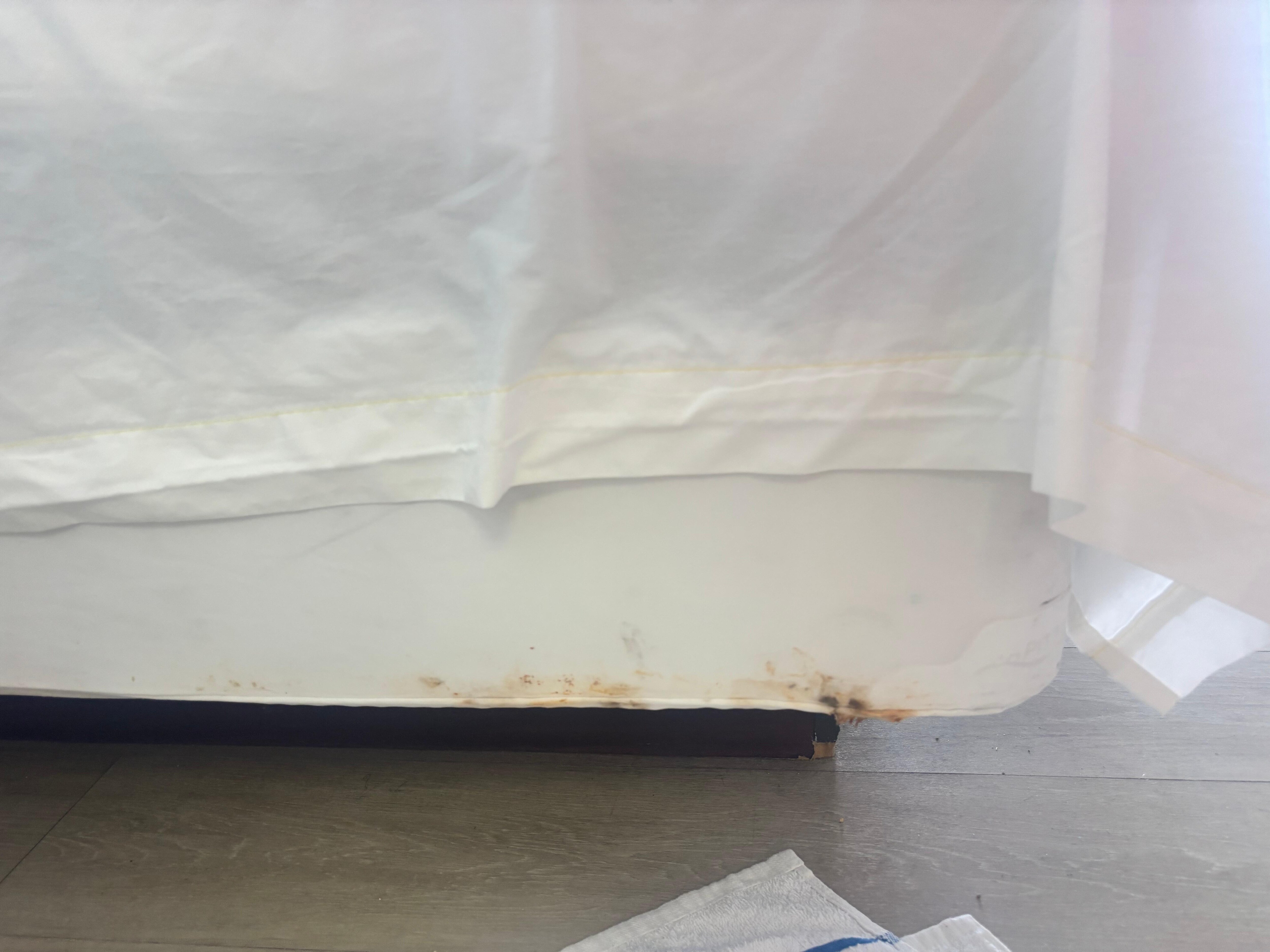 Rust on bed
