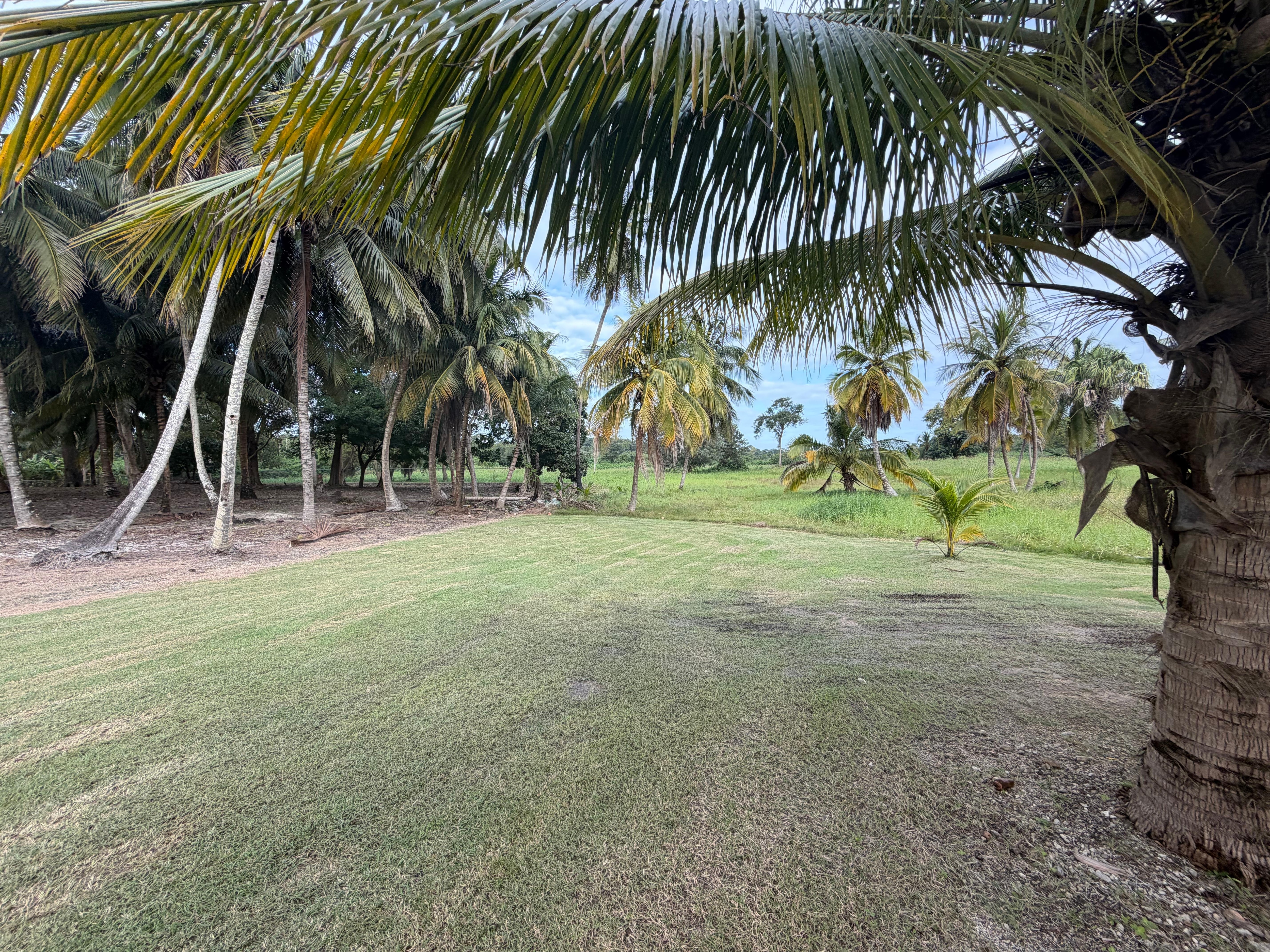 Yard was very relaxing and well maintained