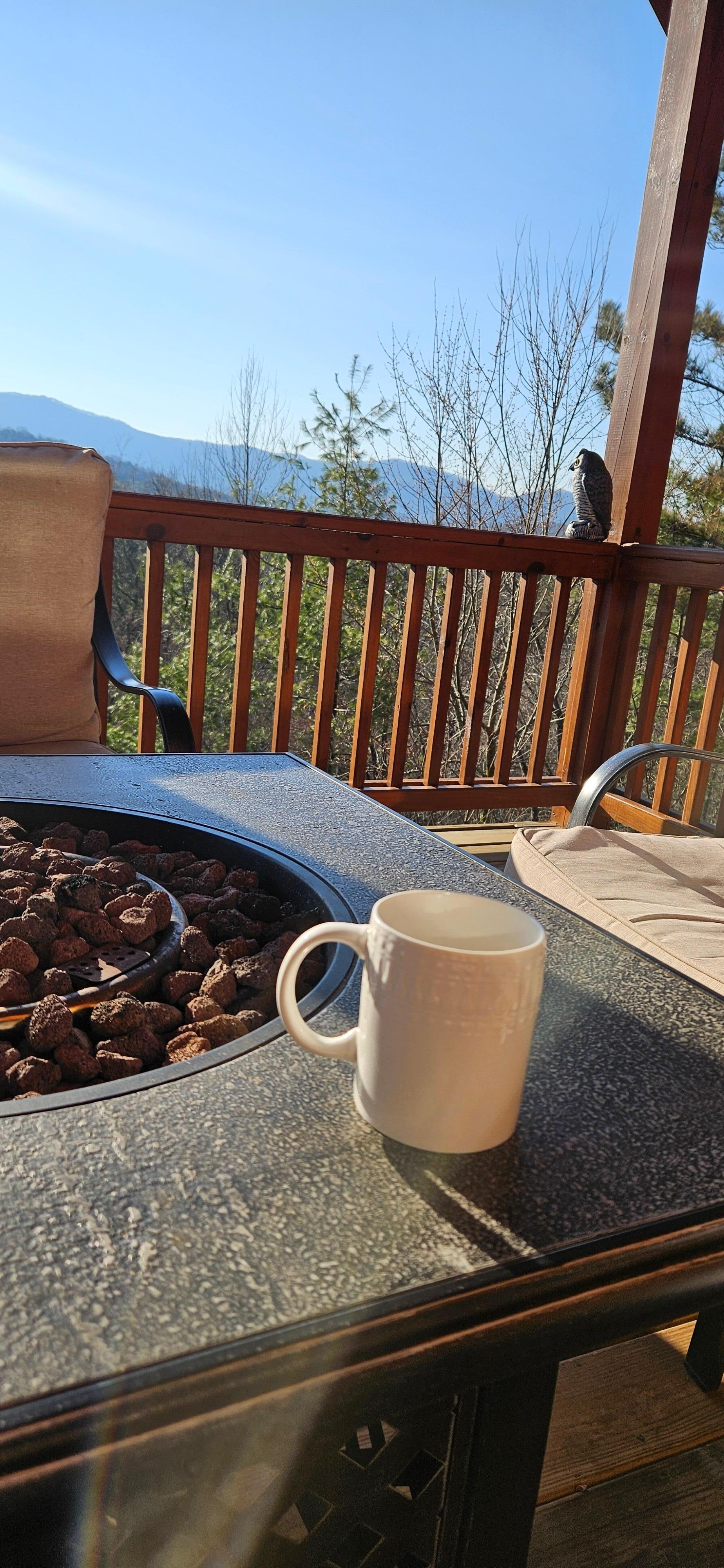 Morning coffee of the back deck. 