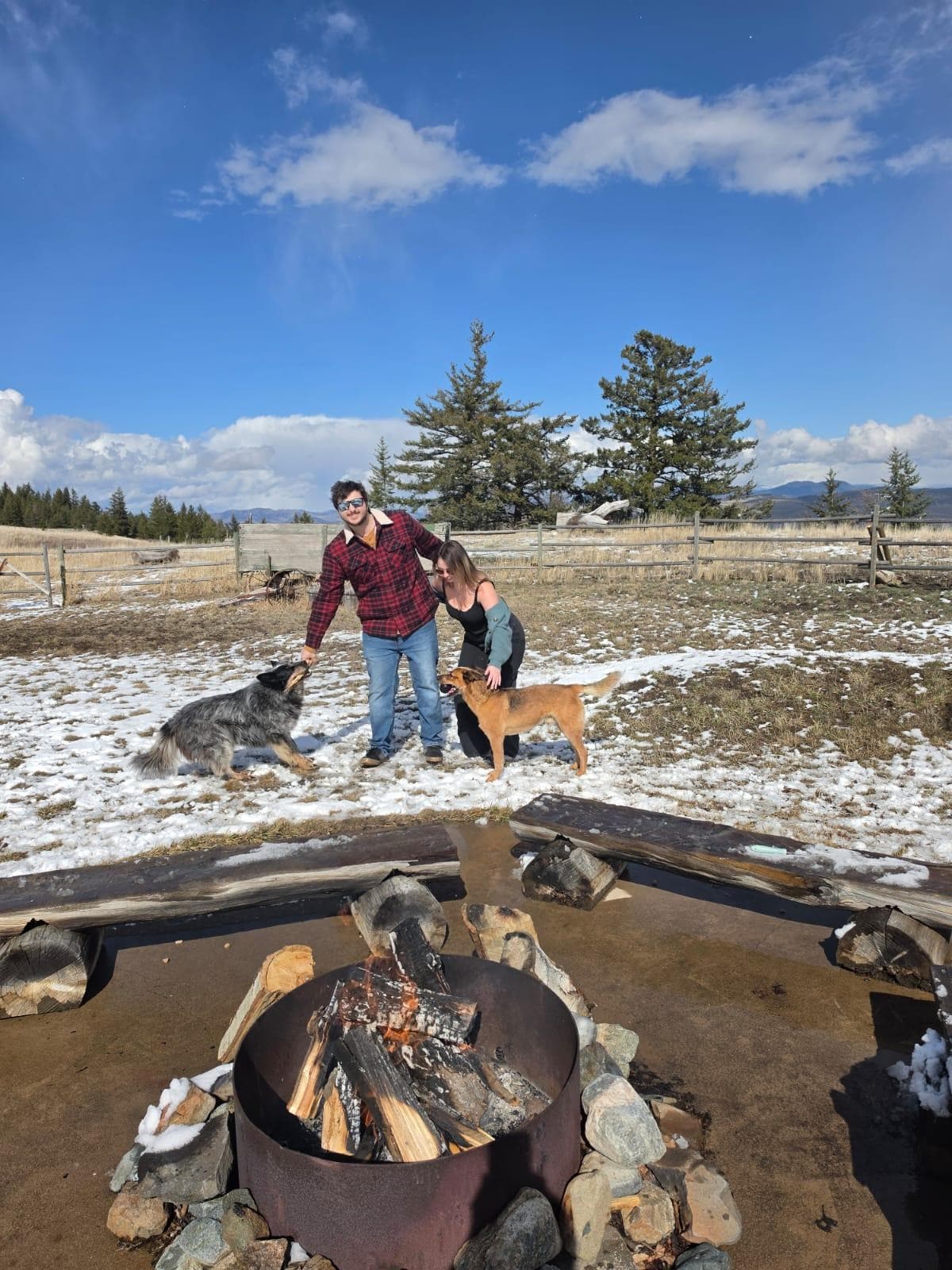 And two beautiful dogs to play with