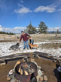 And two beautiful dogs to play with