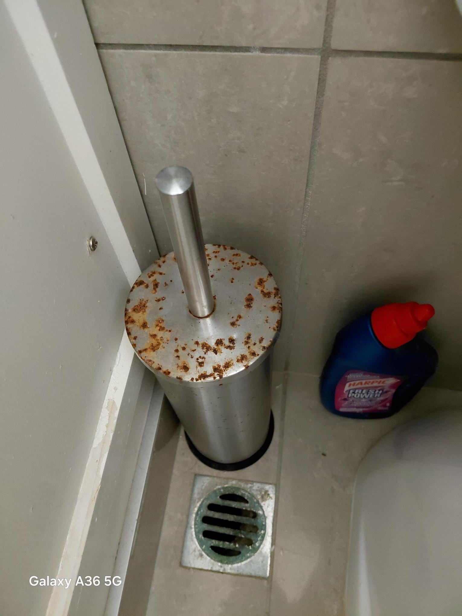 Rusty toilet brush 