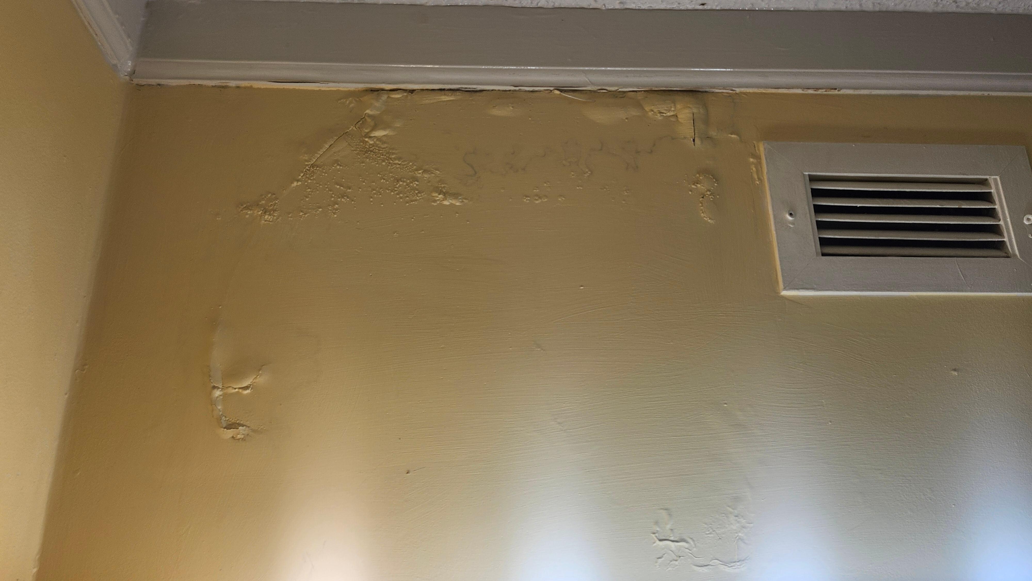 Mold knife marks in bubbles then painted over