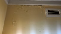 Mold knife marks in bubbles then painted over